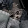 Кудрявая Мэри