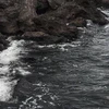 Gyut jkop