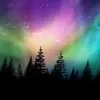 Northlight 0920