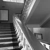 Vassie_48