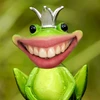 Frog993
