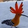 Revochka