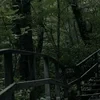 Travkanull