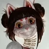 PopaPayka