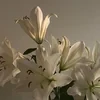 Дарина 123