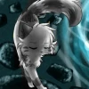 HadZhel_312