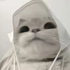 ПИВЧИКККК