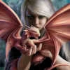 xvostdracona