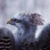 НеПоКниге