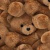 Bearsoul