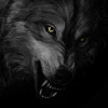 Silver Woolf