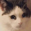 Королева стекла