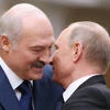 Не_помидор