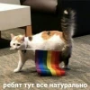 Хочу быть ромашкой.