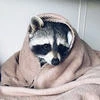 Мила_14_05