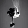 __MissPain__