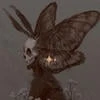 furry moth