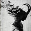 Sael Caun