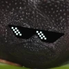 Devilogod