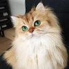 Человек без имени