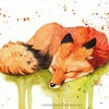 LittleFox_Lissa