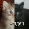 Алексей Мухов