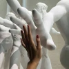 Danieliia