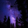 Кладбище Тапка