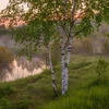 второй-Вергилий
