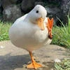 Кира_Р
