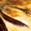 Dragon Dreams