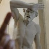 y.darach