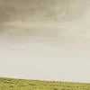 AvelineChatilion