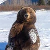 Панамка Санька