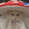 ПРОСТИТЕЧТОБЕЗСТУКА