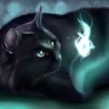 Одинокая Звезда15