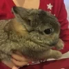 7 слэшей