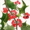 Sprig of mistletoe