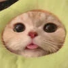 ___baby____