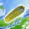 Незабалуешь