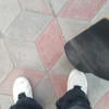 Wd.sk8