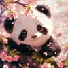 Nata_Panda