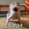 лампа даша