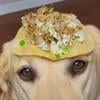Третья нога