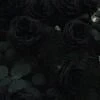 The black rose.
