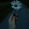 CUTE BANSHEE