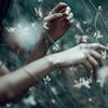 venus_arde