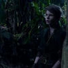 Peter Pan13345