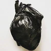 Юноша из Шоулина