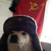 Добрый ёж